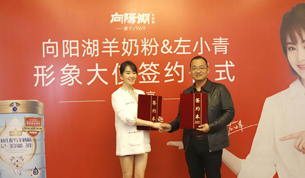 左小青代言向陽湖羊奶粉，攜手品牌再次升級